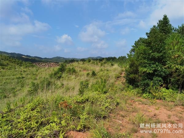 兰州市带着徒弟上山学杨公风水现场操作